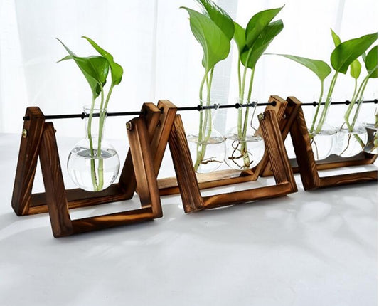 Glass Tabletop Plant Terrarium - Modern Minimalist Planter