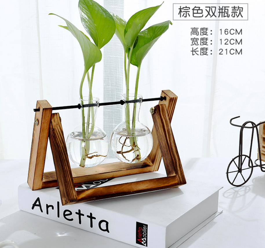 Glass Tabletop Plant